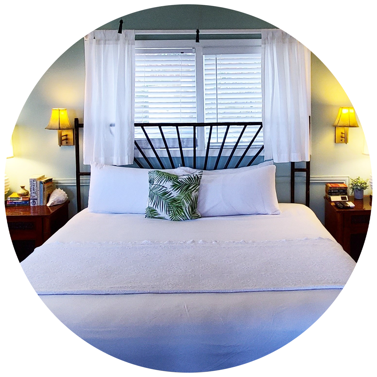 Book Now 